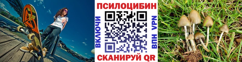 купить   Игра  Галлюциногенные грибы мицелий 